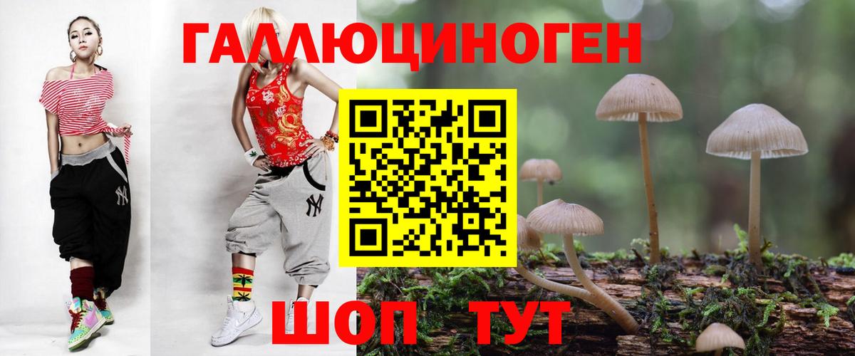 Елец  Псилоцибиновые грибы прущие грибы  Вход с VPN 